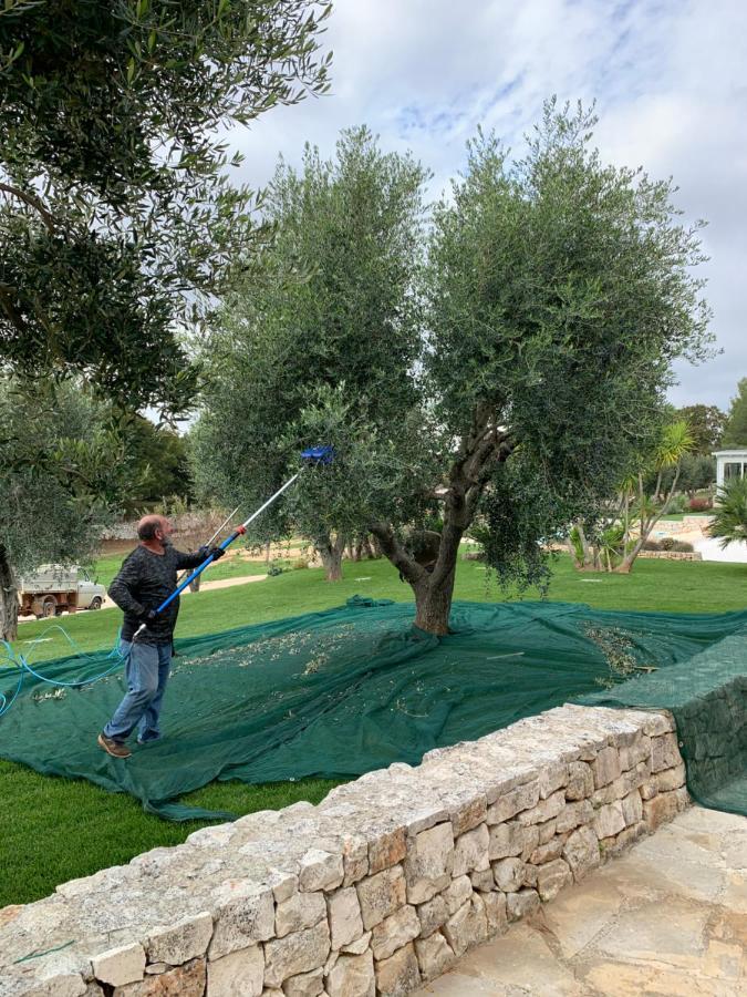 Villa Moresca Dei Trulli Fernando ออสตูนี ภายนอก รูปภาพ