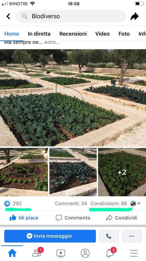 Villa Moresca Dei Trulli Fernando ออสตูนี ภายนอก รูปภาพ