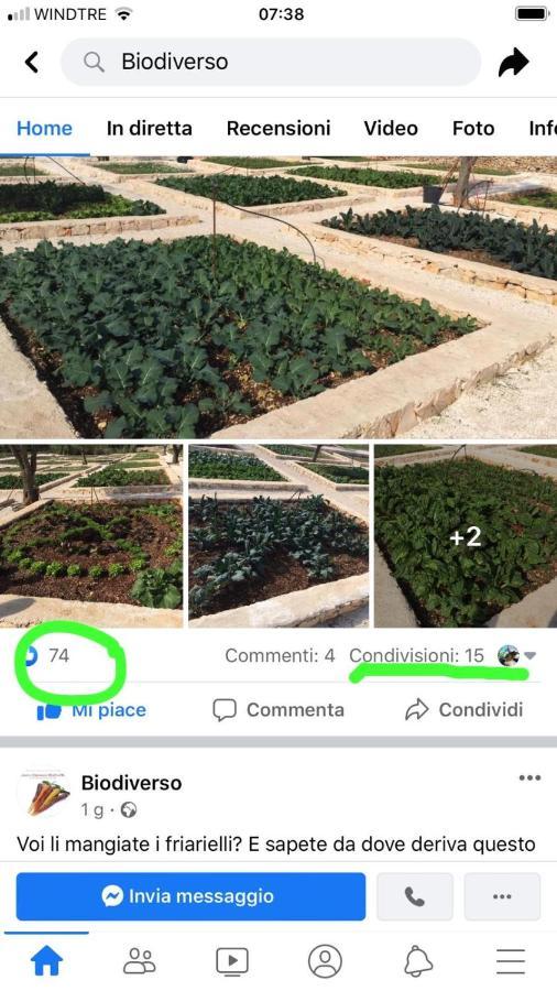 Villa Moresca Dei Trulli Fernando ออสตูนี ภายนอก รูปภาพ