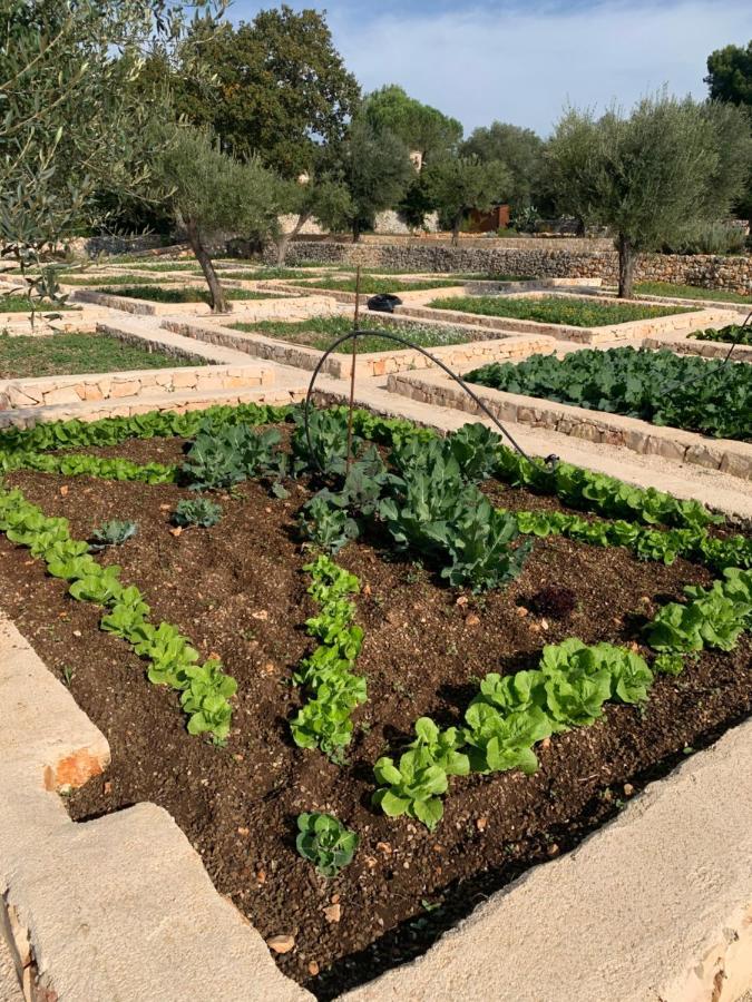 Villa Moresca Dei Trulli Fernando ออสตูนี ภายนอก รูปภาพ